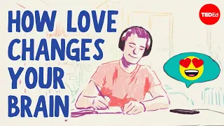 the science of falling in love shannon odell