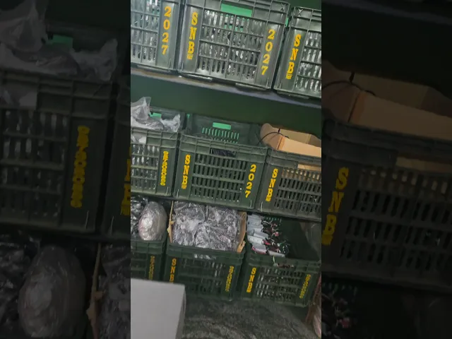 Universal Electric Cycle E-brakes Lever Pair overview video