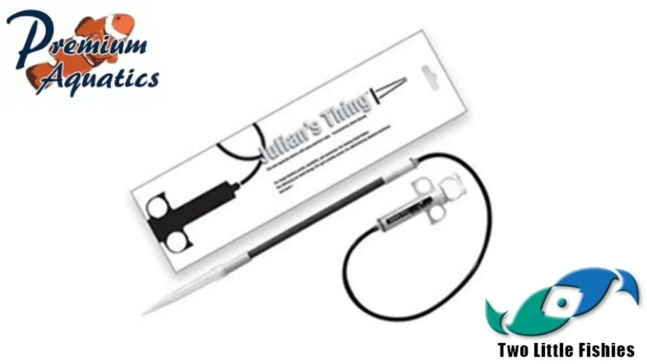 Target Feeding Corals with Two Little Fishes Julian's Thing
