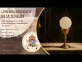 Download Lagu Solemnity of the Precious Body and Blood of Jesus | Sunday Mass | June 22, 2025