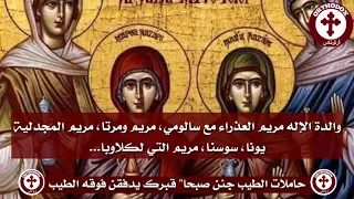 حاملات الطيب دندنها