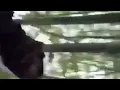 Don t leave trees floating