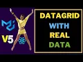 Material UI 5 DataGrid