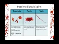 Blood Spatter Analysis