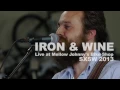 Iron & Wine - Lion's Mane (Live on KEXP)