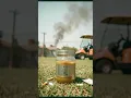 Queenbee s Honey Pot