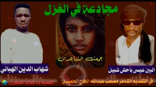 الشاعر شهاب الدين امين الهباني 2 