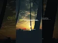 Download Lagu story wa 30 detik | iklim | suci dalam debu | lagu malaysia | story wa keren | SW #shorts #short