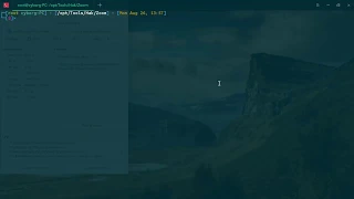 WPSEKU Wordpress Security Scanner DeepinOsLinux