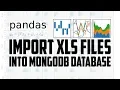 Use pandas python to open xls files and insert into mongodb nosql database