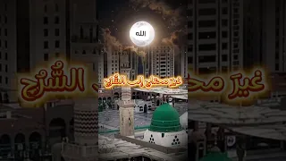 بإخراج رائع مع الترجمة حضرة صوفية رفاعي ة قوية روحانية مددها عالي 