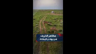 صور ت برز جانبا من سحر الطبيعة الخريفية في بادية البطانة شرقي البلاد 