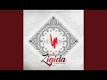 Lagu Zigida (feat. Fabregas Le Métis Noir)