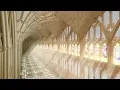 Download Lagu Selena - dreaming of you, but you’re in a cathedral (432hz) (intro looped)