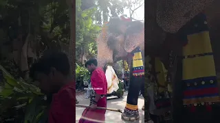 geetanjily parthn..