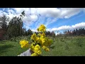 Download Lagu A Very Sad Video and News
