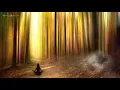 888Hz 369Hz Divine Code of Abundance Remove All Negative Blockages Mystical Harmony