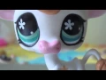 Download Lagu ☆ Minha Coleção de LPS☆ ||Leia a Descrição||