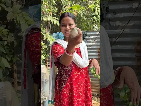 আমার বর মাছ খায়না তবে মাছ ভালো ধরতে পারে। #vlog #minivlog #shorts #durgapuja