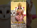 Download Lagu 🌿🌿🌿kitana pyar🌿🌿🌹🌹hai singar ki teri 🌿🌿🌹🌹🙏🙏
