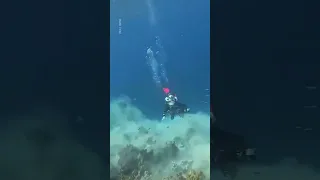 Moment Rare 7 2 Magnitude Earthquake Strikes Underwater 10 News First 