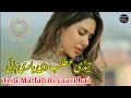 Download Lagu Tedi Matlab di yaari hai | Saraiki Song | new trending Saraiki Song
