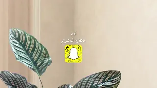 شيله كلها من ملامحها عايض ال شريم حصريا 2020  شيله كلها من ملامحها عايض ال شريم حصريا 2020
