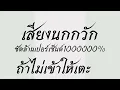 Download Lagu เสียงต่อนกกวัก ทีเด็ด
