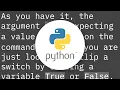 Python argparse command line flags without arguments