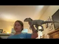 Unboxing with Rylee ep 1 the idominus rex