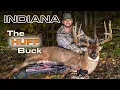 The Huff Buck The Story Behind One of the Largest Whitetails Ever Taken