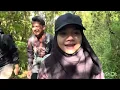 Download Lagu PEC400