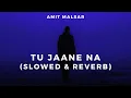 Download Lagu Amit Malsar - Tu Jaane Na (Slowed \u0026 Reverb)