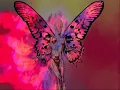 Iron Butterfly [Full Version] In A Gadda Da Vida - Digitally Remastered