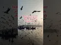 Download Lagu किसी के छोड़ जाने से हमारा अस्तित्व समाप्त नहीं होता #reels #shots