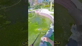 كيف يتم تنظيف حوض السباحة بدون تفريغه من الماء 