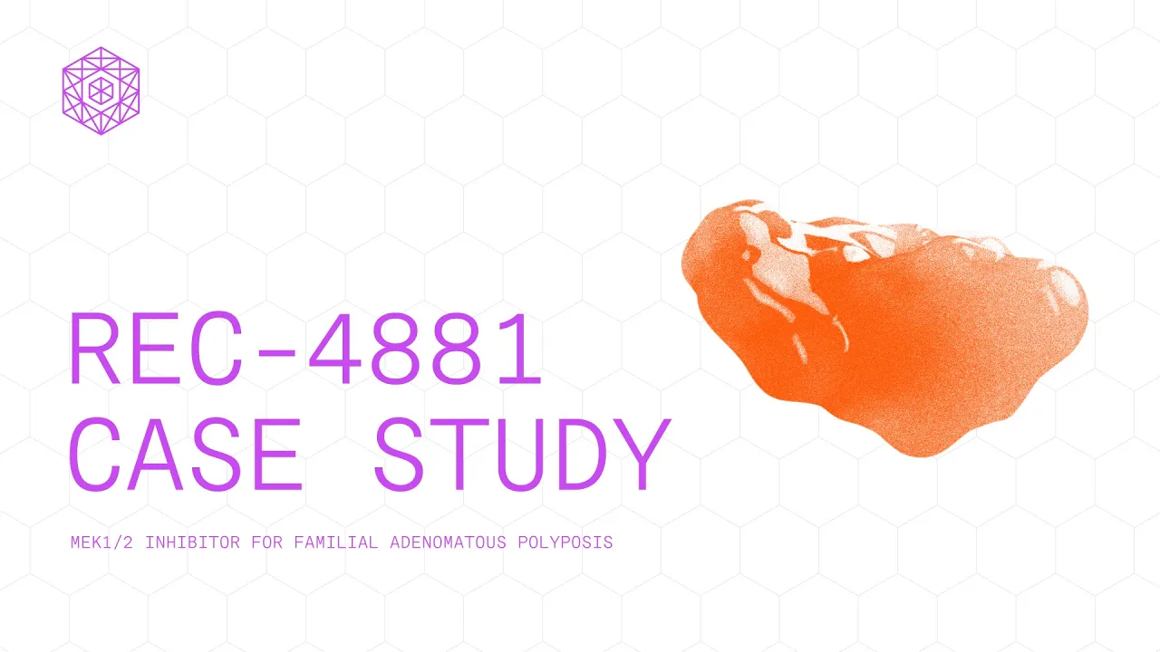 Recursion FAP case study animation