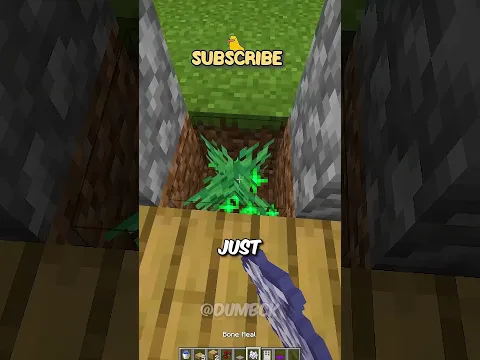DOOR FOR MY PUPPY IN MINECRAFT! #shorts