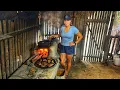 Download Lagu Nosso Dia na Roça Plantamos, Limpamos e Fizemos Chambaril na Panela de Barro no fogão a lenha!
