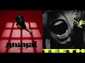 ANIMAL x TEETH [KATSEYE x 5SOS MASHUP]