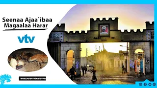 dhandhama gurraa 13 seenaa gabaabaa magaalaa harar
