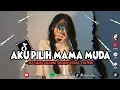 Download Lagu DJ AKU PILIH MAMA MUDA X AKIMILAKUO FULL BASS TERBARU YANG PALING VIRAL DI TIKTOK 🌿