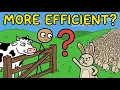 Why We Don t Eat Rabbit Meat When It s The Most Efficient