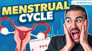 Menstrual Cycle Phases Nursing Follicular Phase Luteal Phase Med Surg 