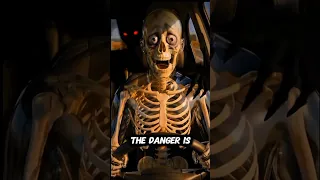 What Really Happens Inside Your Body During a Car Crash