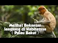 Download Lagu Wisata yang Wajib di Coba saat ke Banjarmasin || Naik Klotok 