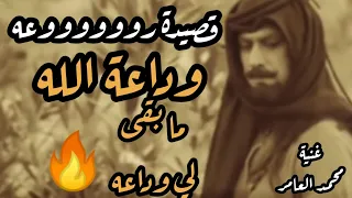 شعر بدوي قصيدة وداعة الله ياسر المصري اغنية محمد العامر 