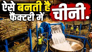 Sugar फैक्ट्री में कैसे बनती हैं ? | How Sugar is made ? | Sugar News | Sugar latest update | C