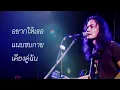 แรกรัก - สันติภาพ【Lyrics audio】