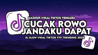 manggis ku lempar mangga ku dapat cucak rowo slow viral tiktok full song 2025